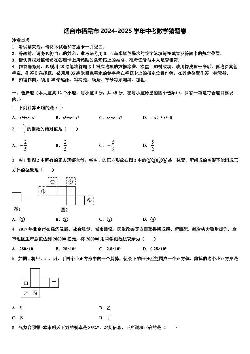 烟台市栖霞市2024-2025学年中考数学猜题卷含解析第1页