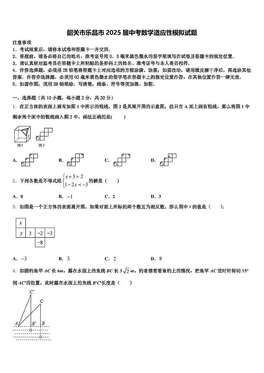 韶关市乐昌市2025届中考数学适应性模拟试题含解析第1页