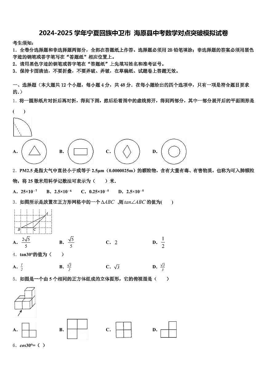 2024-2025学年宁夏回族中卫市 海原县中考数学对点突破模拟试卷含解析第1页