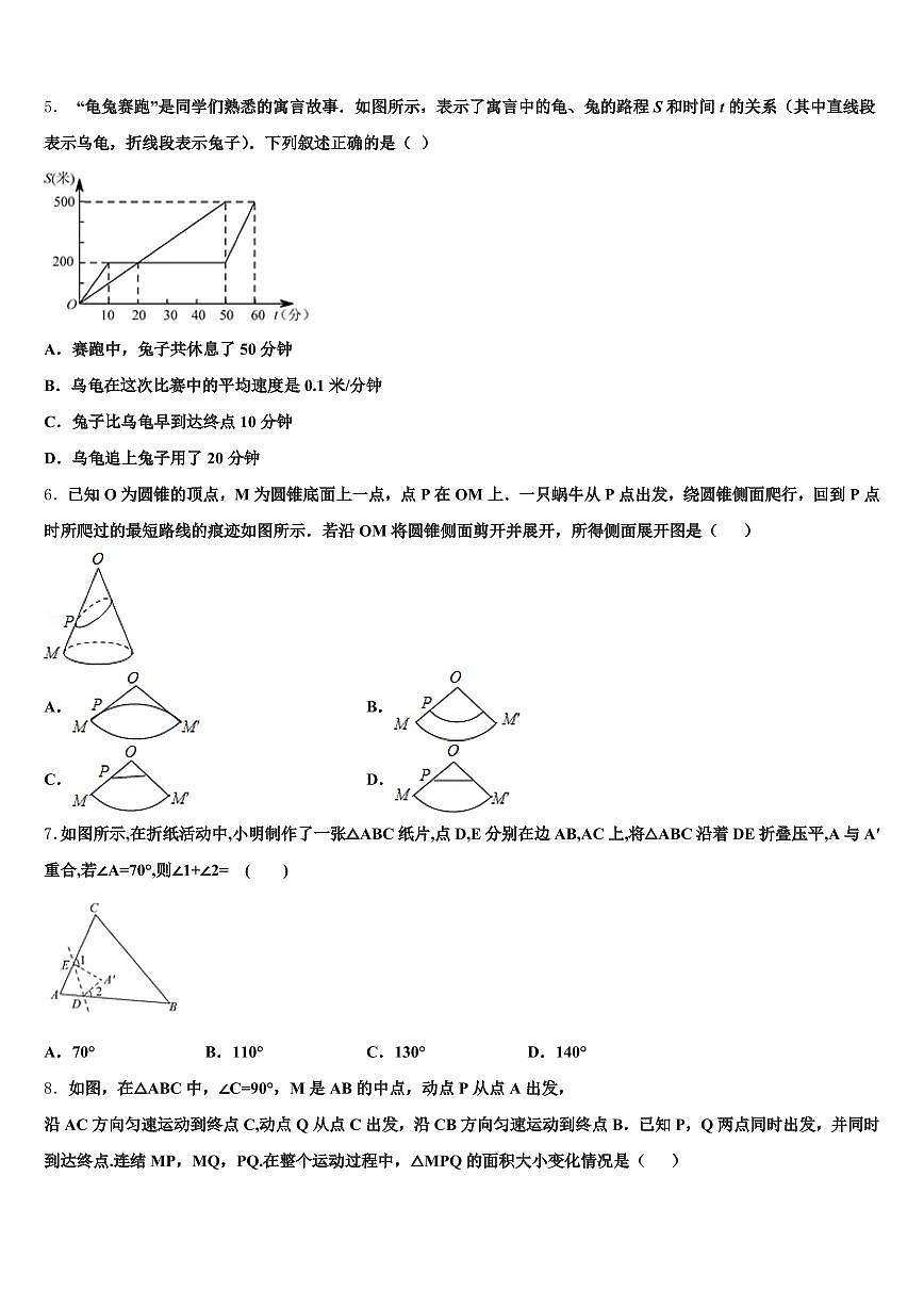 2024-2025学年绥芬河市中考一模数学试题含解析第2页