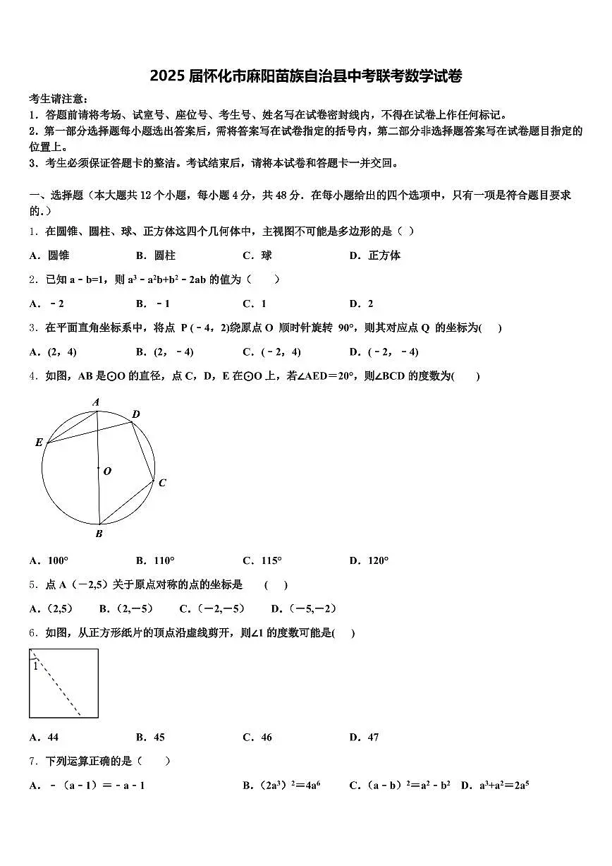 2025届怀化市麻阳苗族自治县中考联考数学试卷含解析第1页
