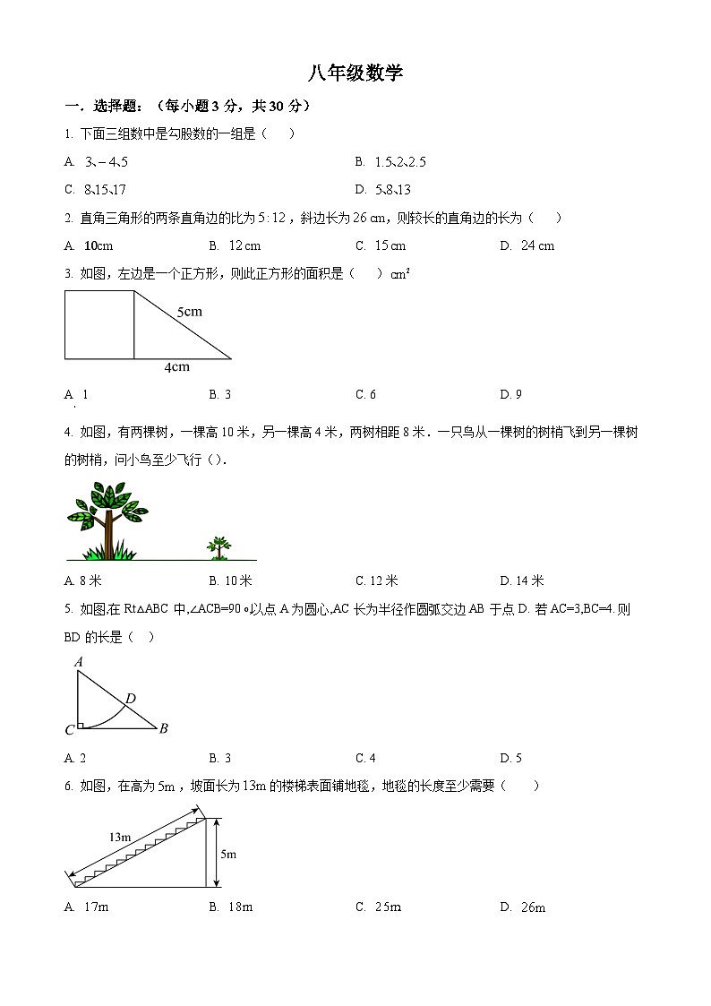 安徽省宿州市第十一中学2024-2025学年八年级上学期第二次月考数学试卷第1页