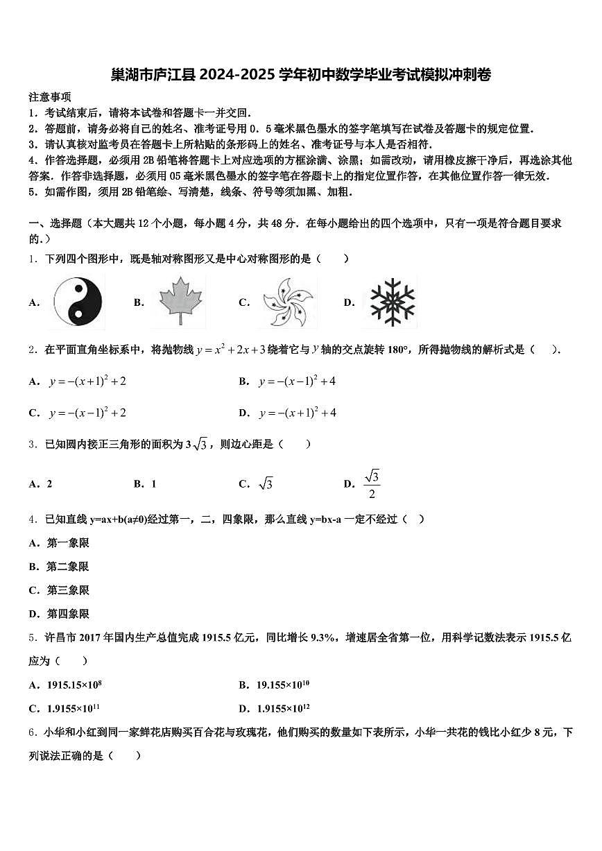 巢湖市庐江县2024-2025学年初中数学毕业考试模拟冲刺卷含解析第1页