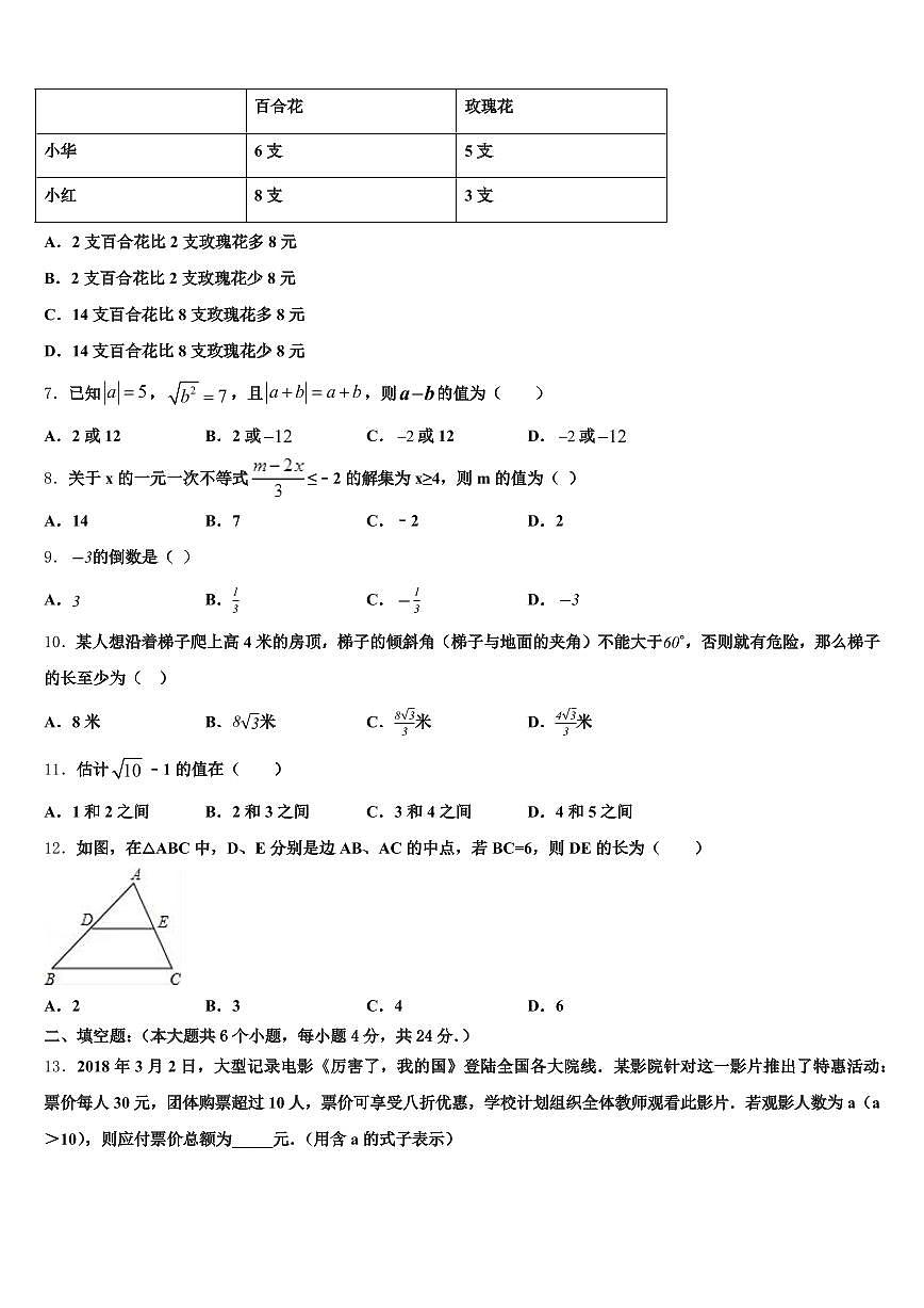 巢湖市庐江县2024-2025学年初中数学毕业考试模拟冲刺卷含解析第2页