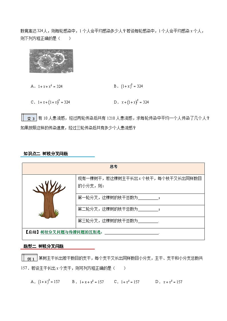 2023年九年级数学上册《一元二次方程的应用》知识考点练习（含答案）第3页