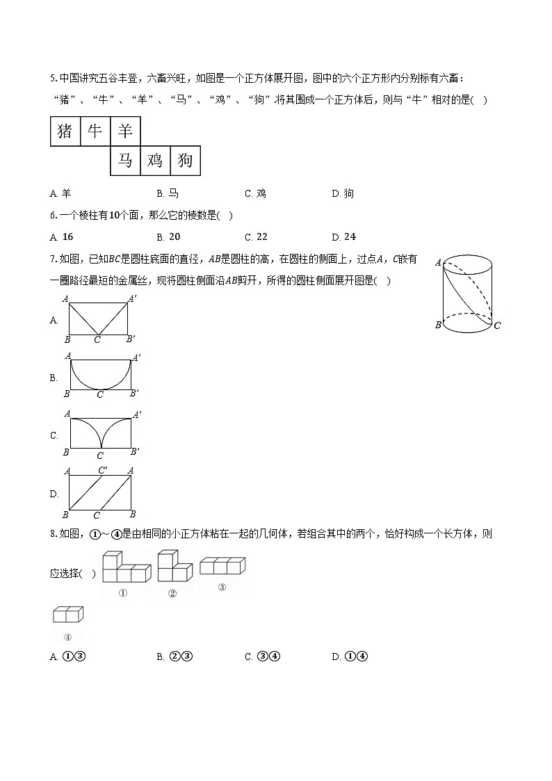 6.1几何图形 人教版（2024）初中数学七年级上册同步练习（含详细答案解析）第2页