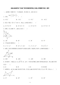 2024-2025年广东省广州市华海双语学校八年级上学期数学期中考试卷（含答案）