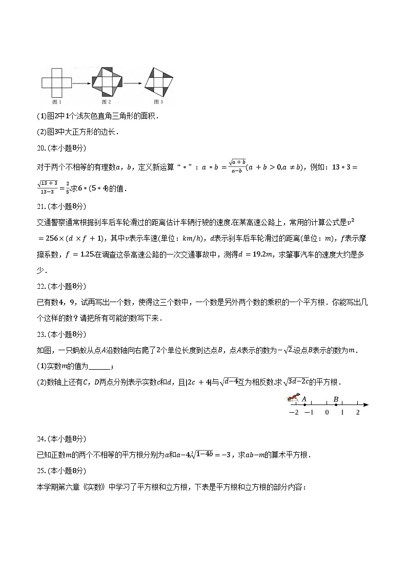 3.1平方根 浙教版（2024）初中数学七年级上册同步练习（含详细答案解析）第3页