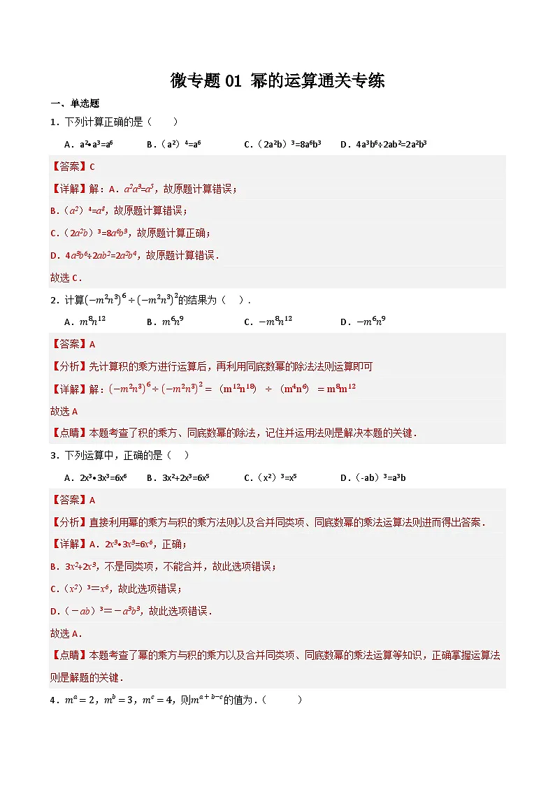 微专题01 幂的运算通关专练(解析版）第1页