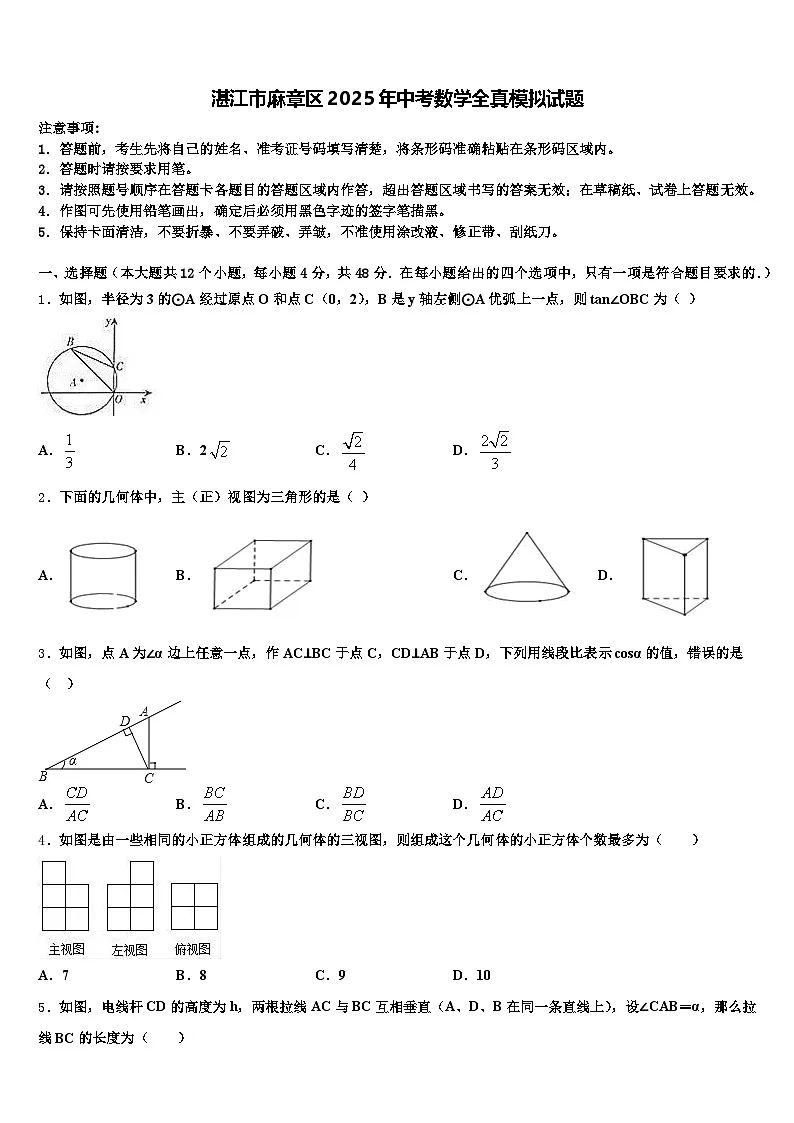 湛江市麻章区2025年中考数学全真模拟试题含解析第1页