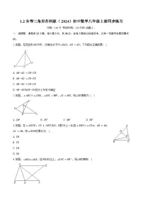 苏科版(2024)八年级上册(2024)1.2 全等三角形精品课后测评