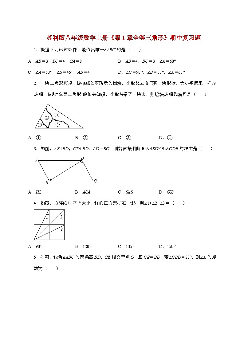 【苏科版】2024_2025学年八年级数学上册期中复习题第一章【全等三角形】第1页