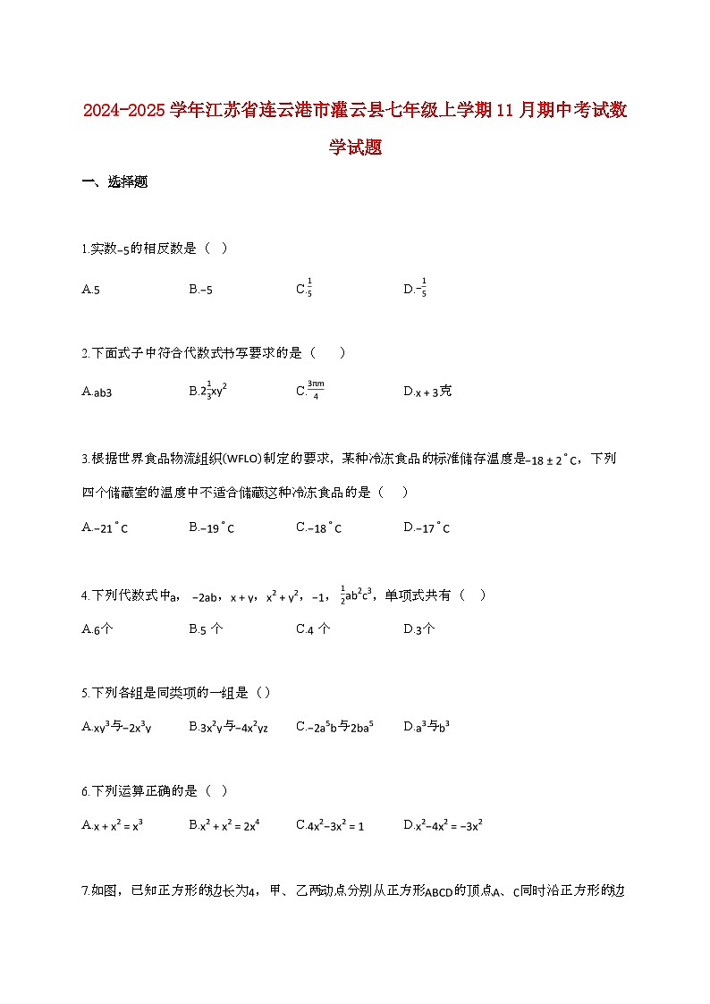 2024_2025学年江苏省连云港市灌云县七年级上册11月（期中）考试数学试卷第1页