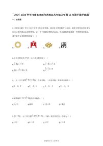 2024_2025学年河南省洛阳市涧西区九年级上册11月（期中）数学试题【附答案】