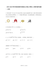 2024_2025学年河南省洛阳市涧西区九年级上册11月（期中）数学试题【附答案】