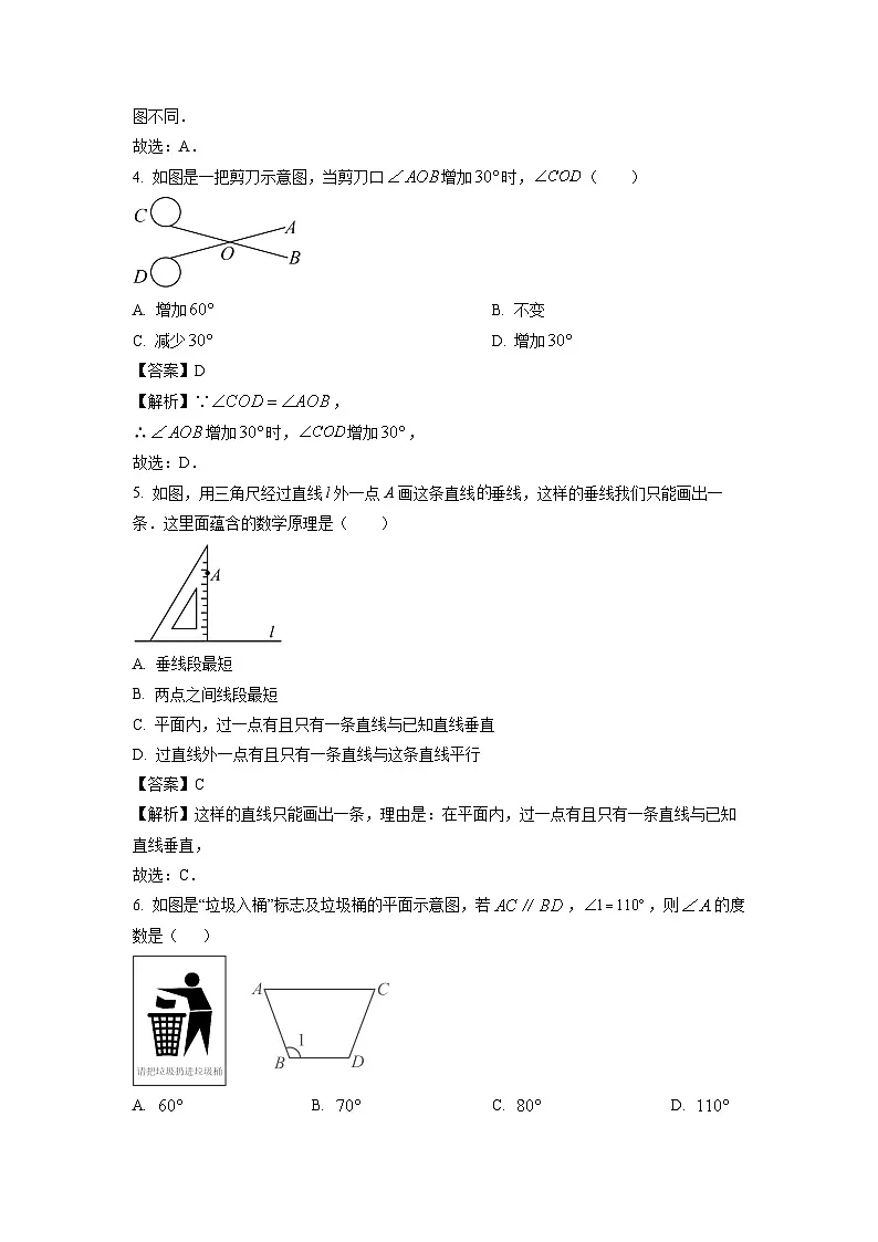 河南省南阳市南召县2024-2025学年七年级上学期期末数学试题（解析版）第2页