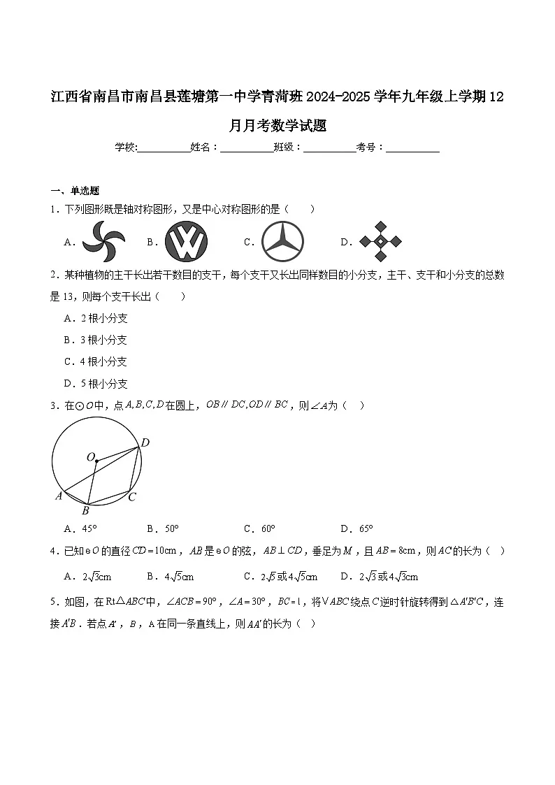 南昌县莲塘第一中学2025届九年级上学期12月月考数学试卷(含解析)第1页