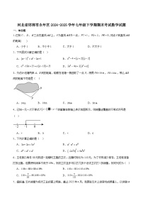 河北省邯郸市永年区2024-2025学年七年级下学期期末考试数学试卷(含解析)