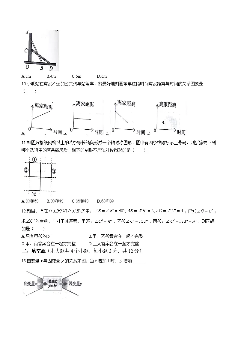 河北省张家口市桥西区2024-2025学年七年级下学期期末考试数学试卷(含答案)第3页