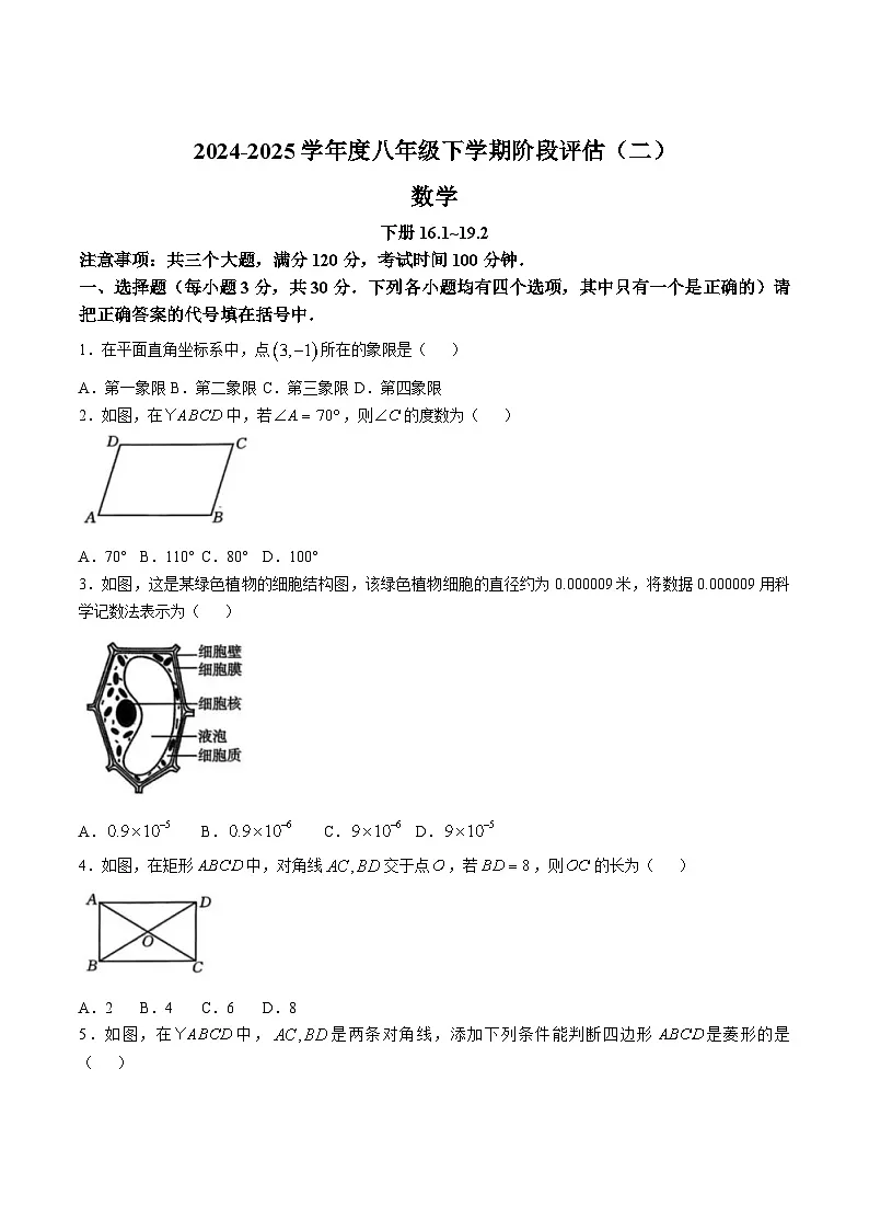 河南省驻马店市泌阳县二校联考2024-2025学年八年级下学期6月月考数学试卷(含答案)第1页