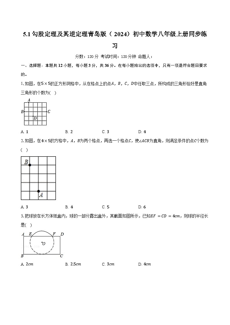 5.1勾股定理及其逆定理 青岛版（2024）初中数学八年级上册同步练习（含详细答案解析）第1页
