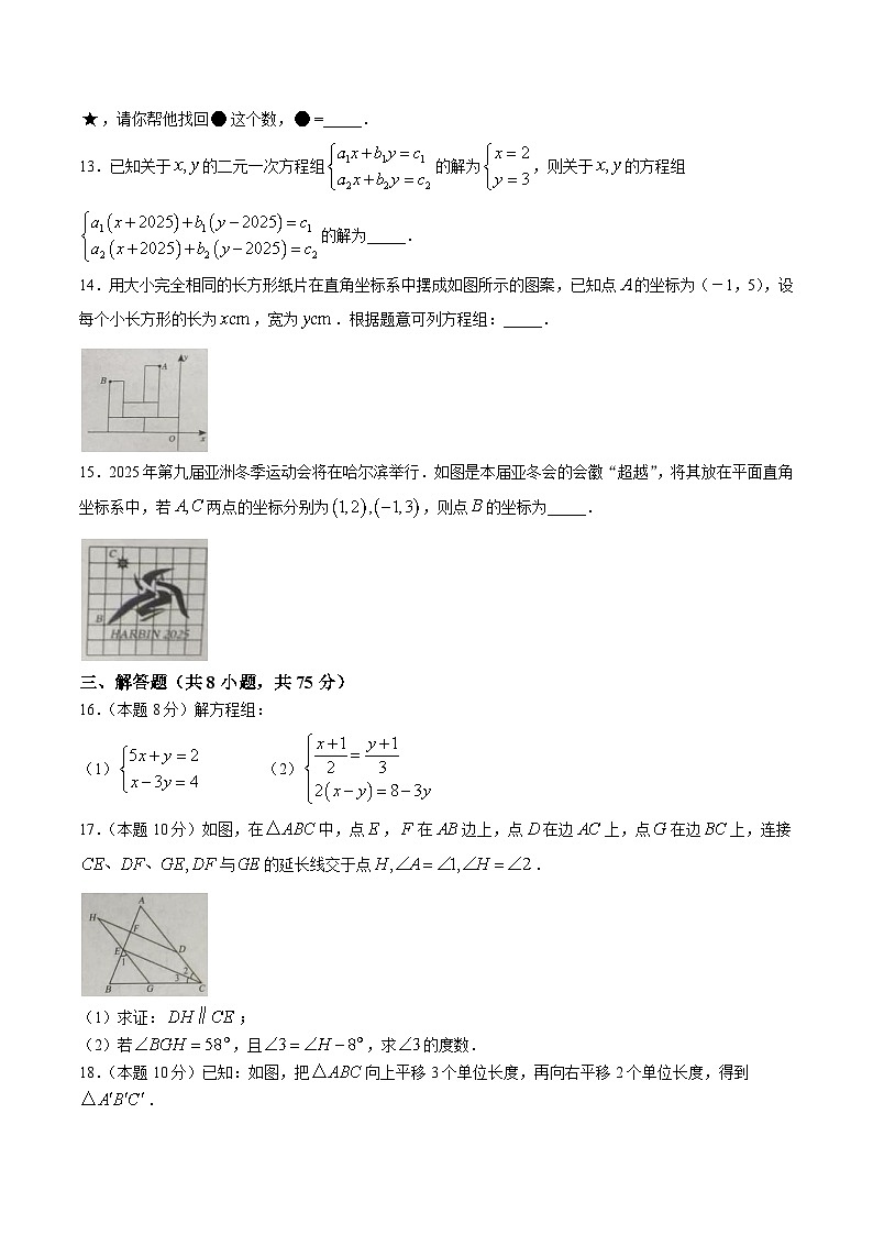 山东省济宁市金乡县2024-2025学年七年级下学期5月月考数学试卷(含答案)第3页