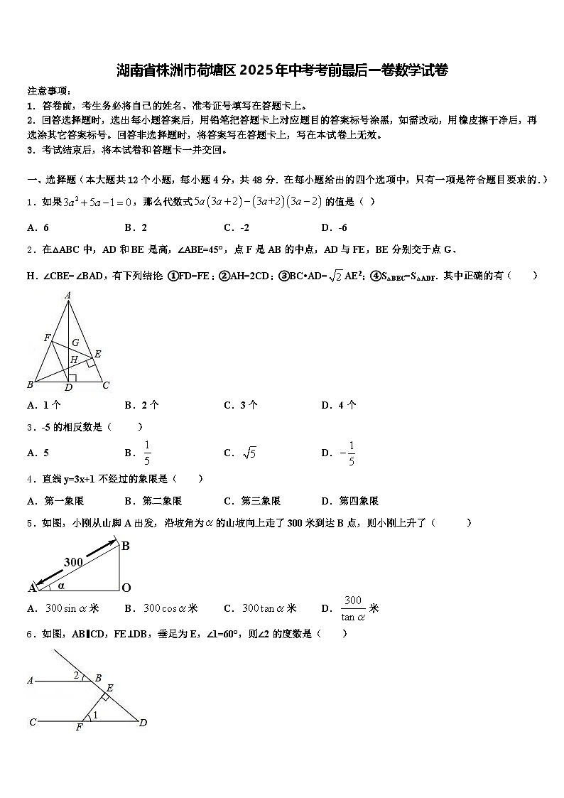 湖南省株洲市荷塘区2025年中考考前最后一卷数学试卷含解析第1页