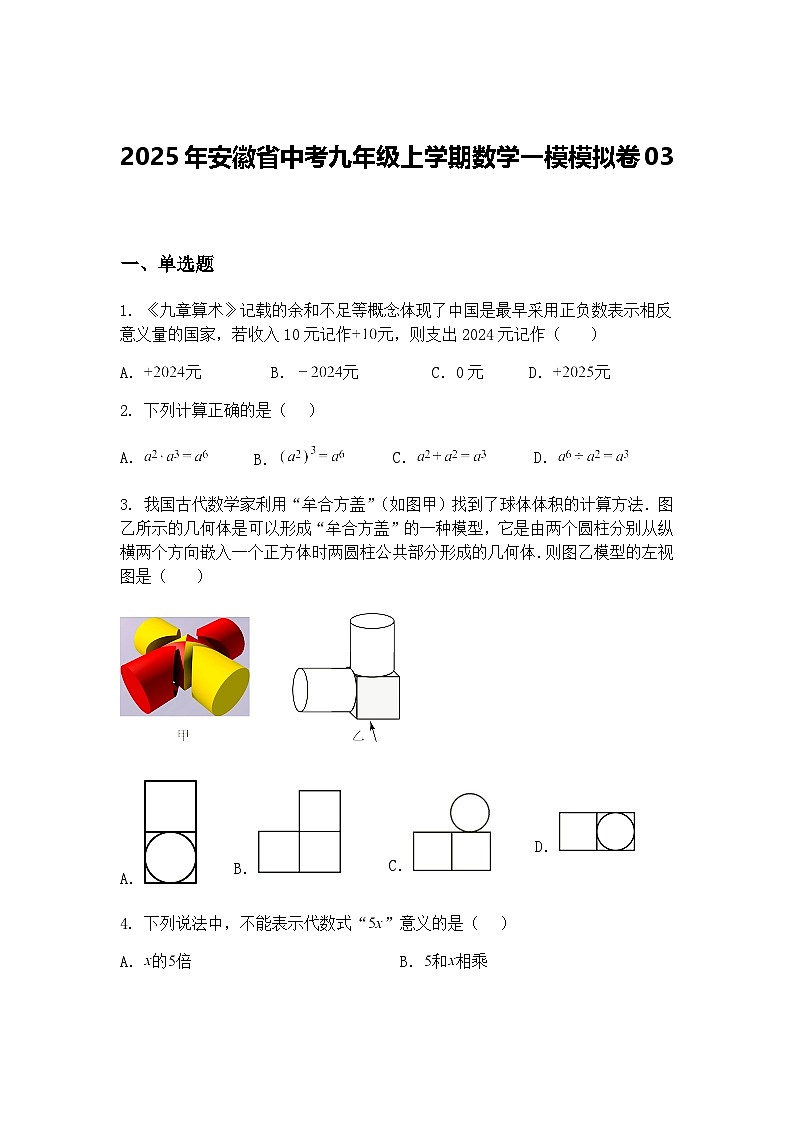 2025年安徽省中考九年级上学期数学一模模拟卷03（含答案解析）第1页