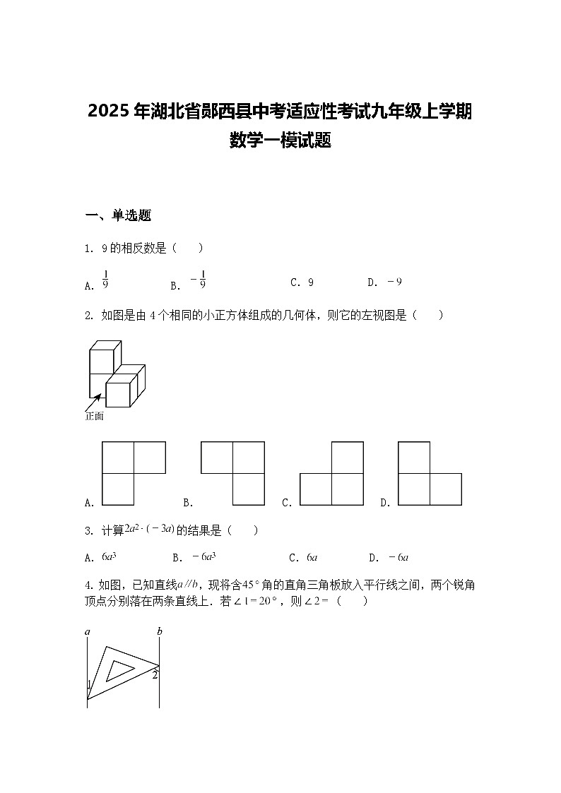 2025年湖北省郧西县中考适应性考试九年级上学期数学一模试题（含答案解析）第1页