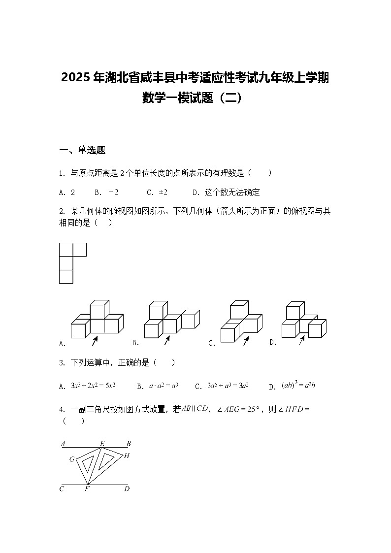 2025年湖北省咸丰县中考适应性考试九年级上学期数学一模试题（二）（含答案解析）第1页