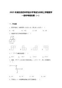2025年湖北省初中学业水平考试九年级上学期数学一模中考模拟卷（一）（含答案解析）