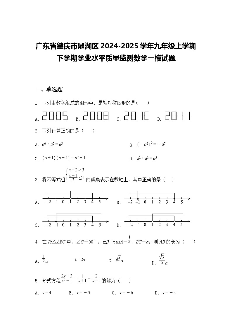 广东省肇庆市鼎湖区2024-2025学年九年级上学期下学期学业水平质量监测数学一模试题（含答案解析）第1页