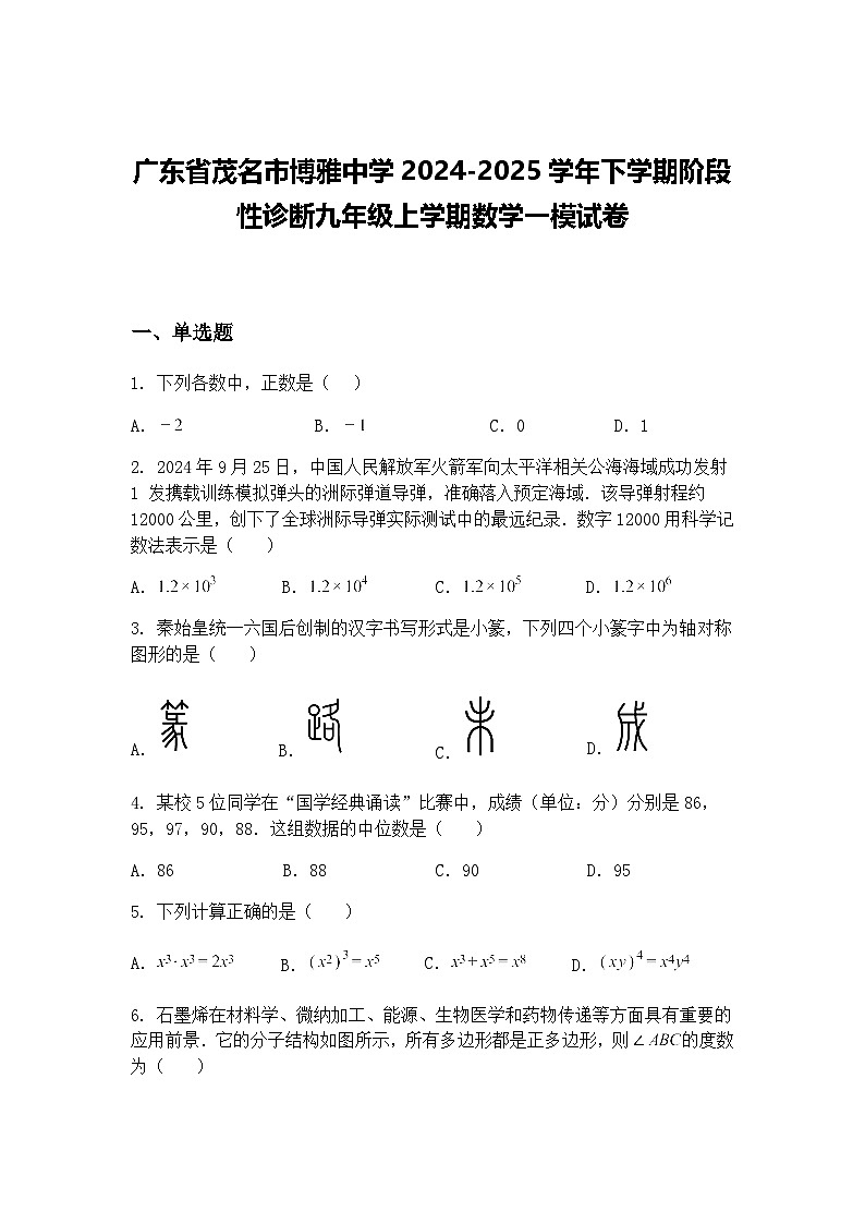 广东省茂名市博雅中学2024-2025学年下学期阶段性诊断九年级上学期数学一模试卷（含答案解析）第1页
