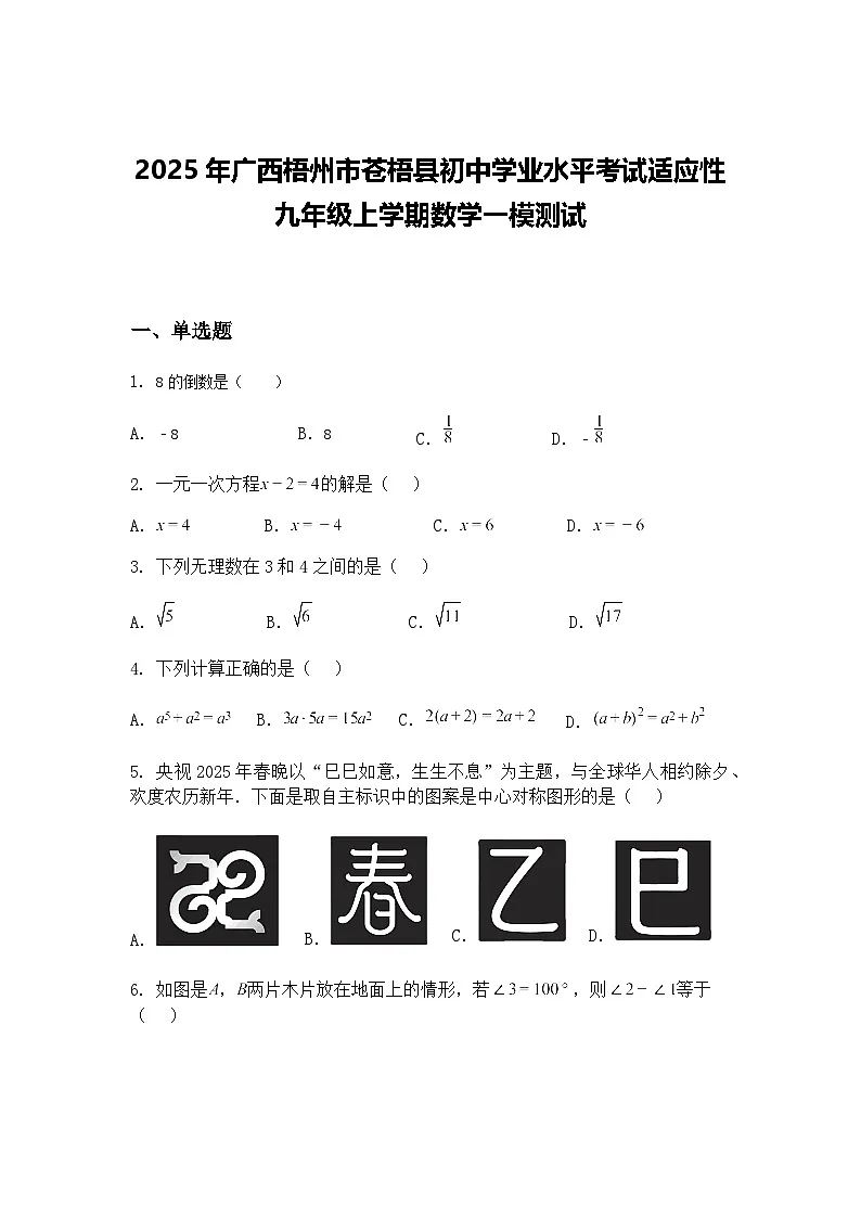 2025年广西梧州市苍梧县初中学业水平考试适应性九年级上学期数学一模测试（含答案解析）第1页