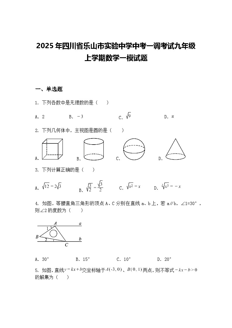 2025年四川省乐山市实验中学中考一调考试九年级上学期数学一模试题（含答案解析）第1页