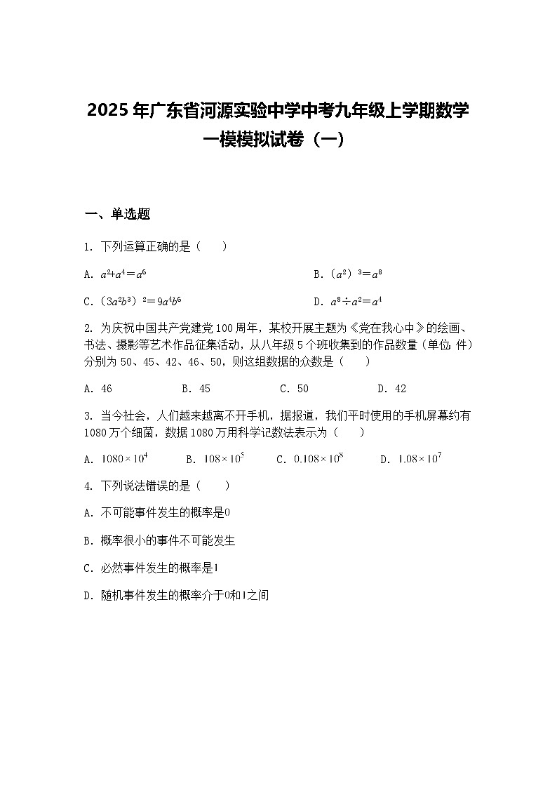2025年广东省河源实验中学中考九年级上学期数学一模模拟试卷（一）（含答案解析）第1页