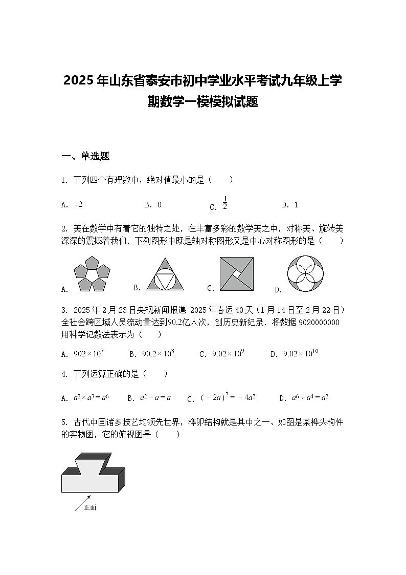 2025年山东省泰安市初中学业水平考试九年级上学期数学一模模拟试题（含答案解析）第1页