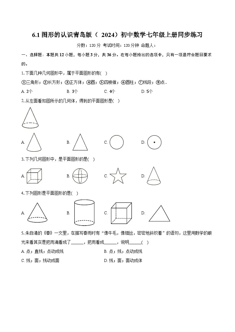 6.1图形的认识  青岛版（2024）初中数学七年级上册同步练习（含详细答案解析）第1页