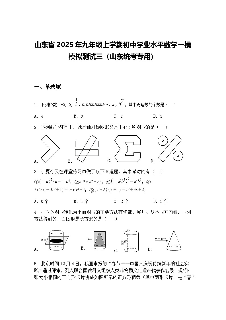 山东省2025年九年级上学期初中学业水平数学一模模拟测试三（山东统考专用）（含答案解析）第1页