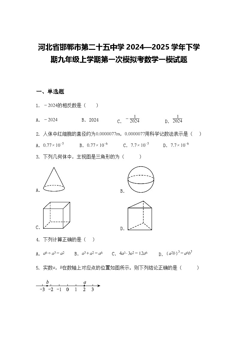 河北省邯郸市第二十五中学2024—2025学年下学期九年级上学期第一次模拟考数学一模试题（含答案解析）第1页