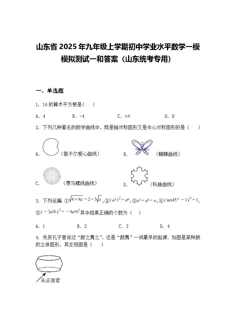 山东省2025年九年级上学期初中学业水平数学一模模拟测试一和答案（山东统考专用）（含答案解析）第1页