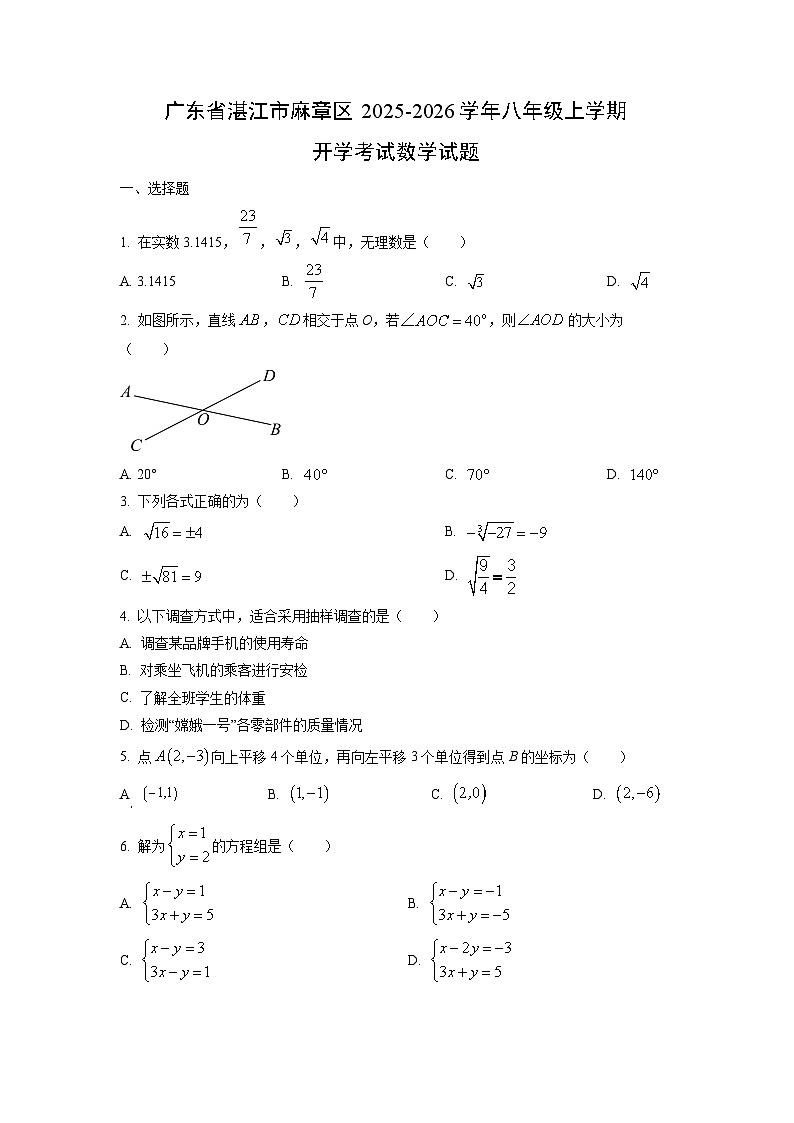 广东省湛江市麻章区2025-2026学年八年级上学期开学考试数学试卷（学生版）第1页