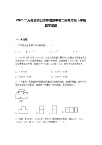 2025年河南省周口市郸城县中考二模九年级下学期数学试题（含答案解析）