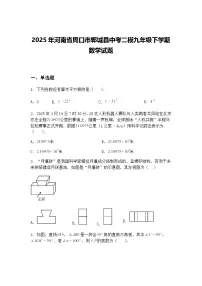 2025年河南省周口市郸城县中考二模九年级下学期数学试题（含答案解析）