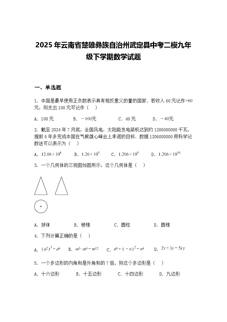 2025年云南省楚雄彝族自治州武定县中考二模九年级下学期数学试题（含答案解析）第1页