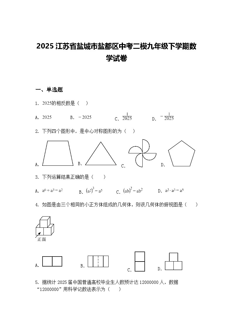 2025江苏省盐城市盐都区中考二模九年级下学期数学试卷（含答案解析）第1页