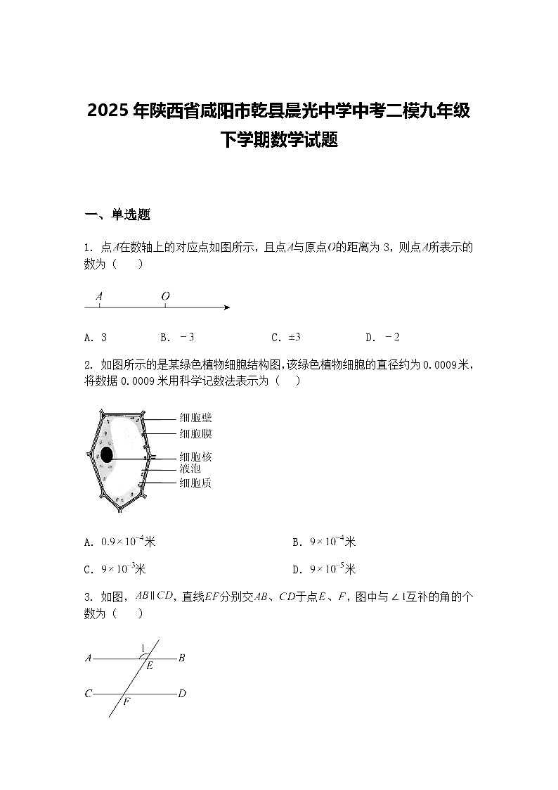 2025年陕西省咸阳市乾县晨光中学中考二模九年级下学期数学试题（含答案解析）第1页