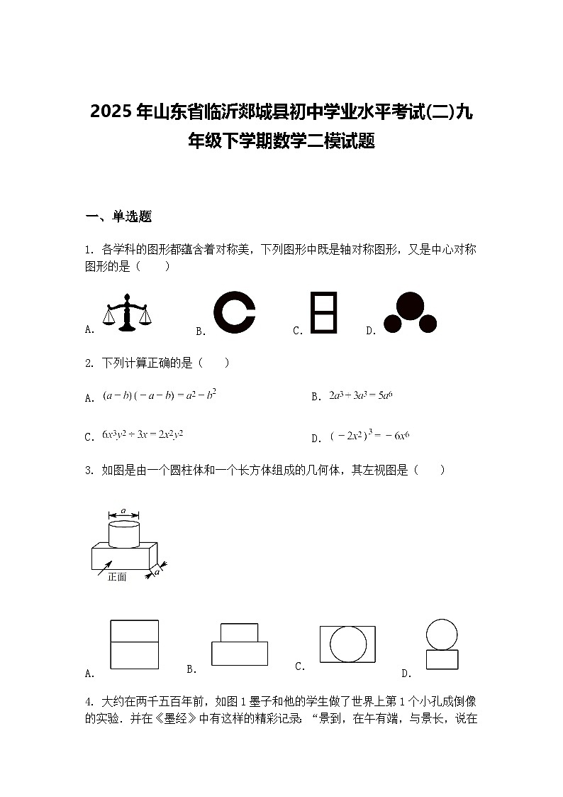 2025年山东省临沂郯城县初中学业水平考试(二)九年级下学期数学二模试题（含答案解析）第1页