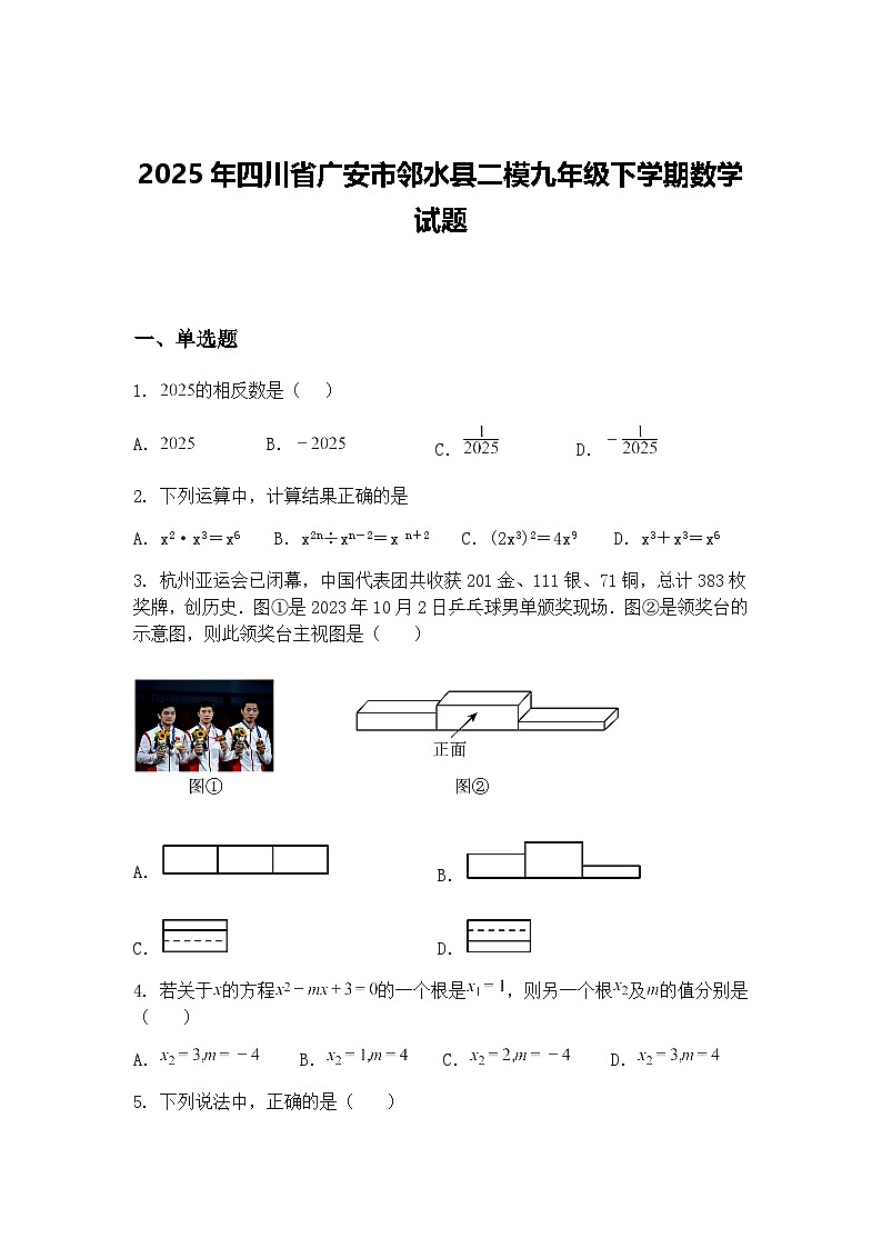 2025年四川省广安市邻水县二模九年级下学期数学试题（含答案解析）第1页