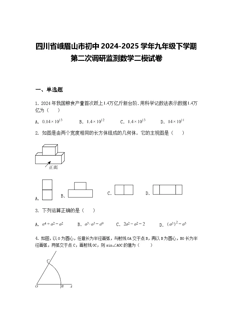 四川省峨眉山市初中2024-2025学年九年级下学期第二次调研监测数学二模试卷（含答案解析）第1页